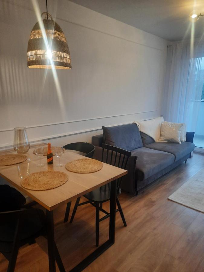Apartament Centrum 시에초시네크 외부 사진